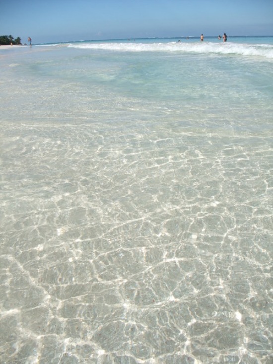 f0238932_1435963.jpg