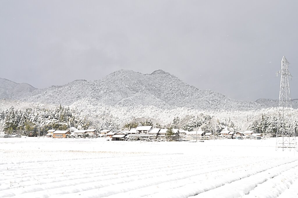 b0129533_221911.jpg