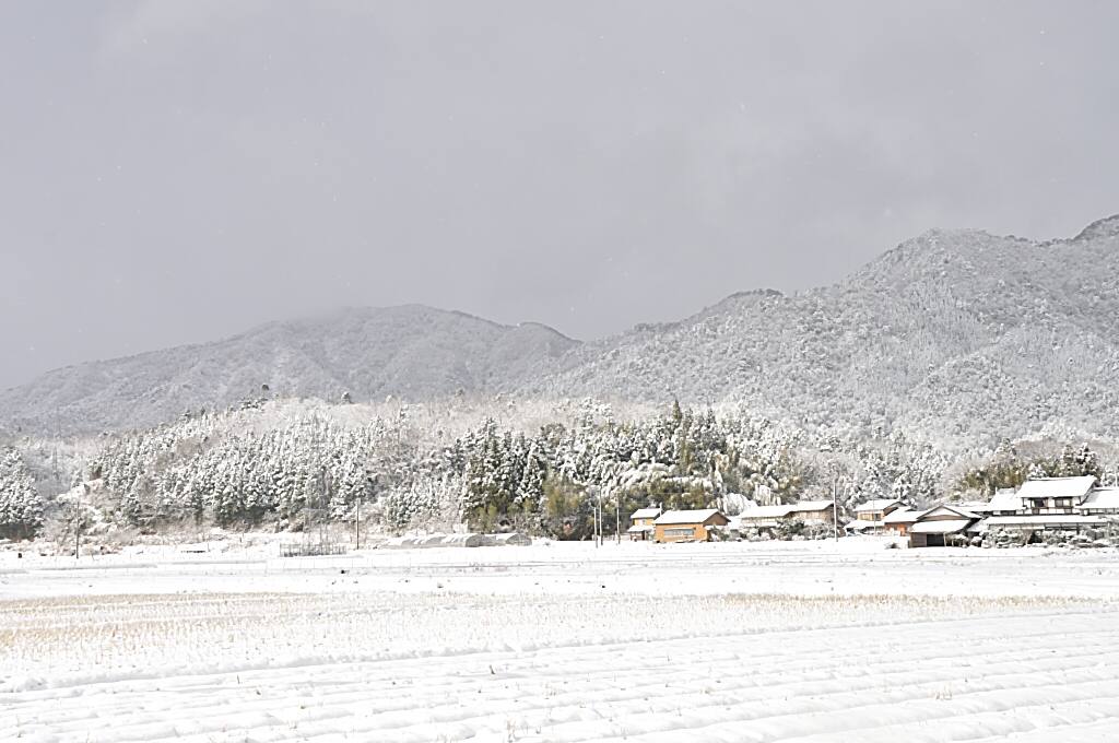 b0129533_22192128.jpg