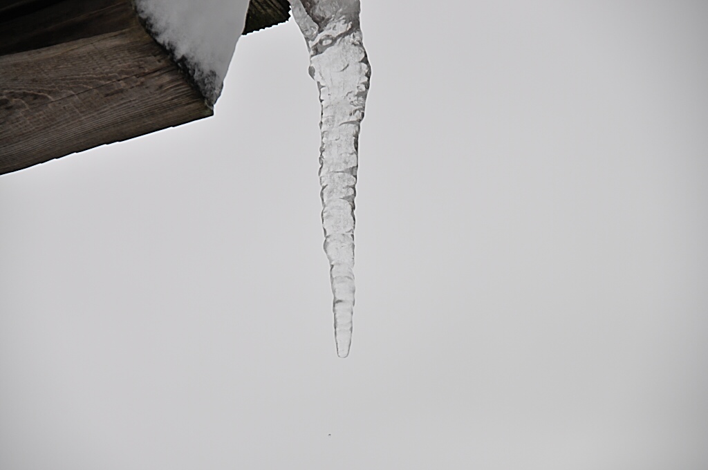 b0129533_22193951.jpg