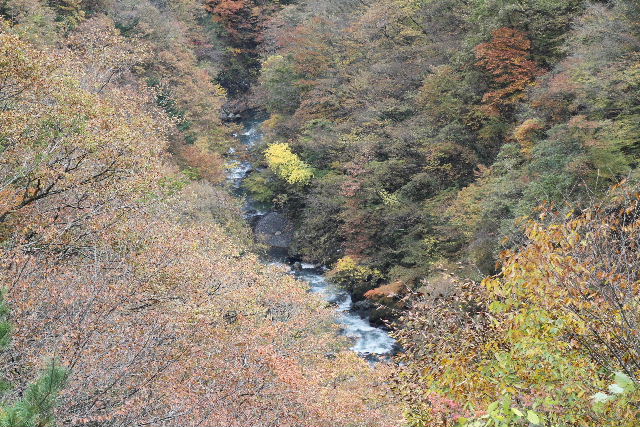 e0064133_18154054.jpg