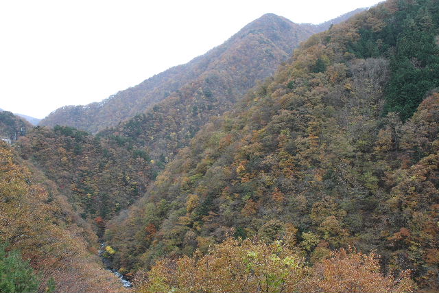 e0064133_18154740.jpg