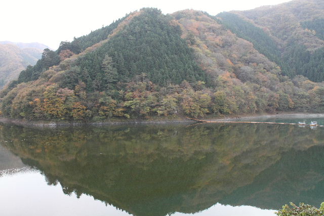 e0064133_1817416.jpg