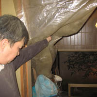 d0033734_22423024.jpg