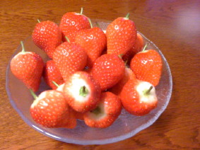 f0131934_051344.jpg