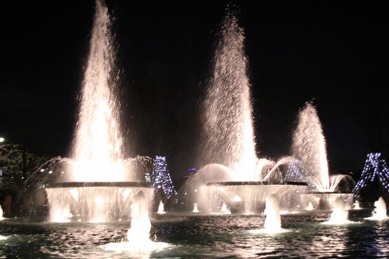e0052135_17213678.jpg