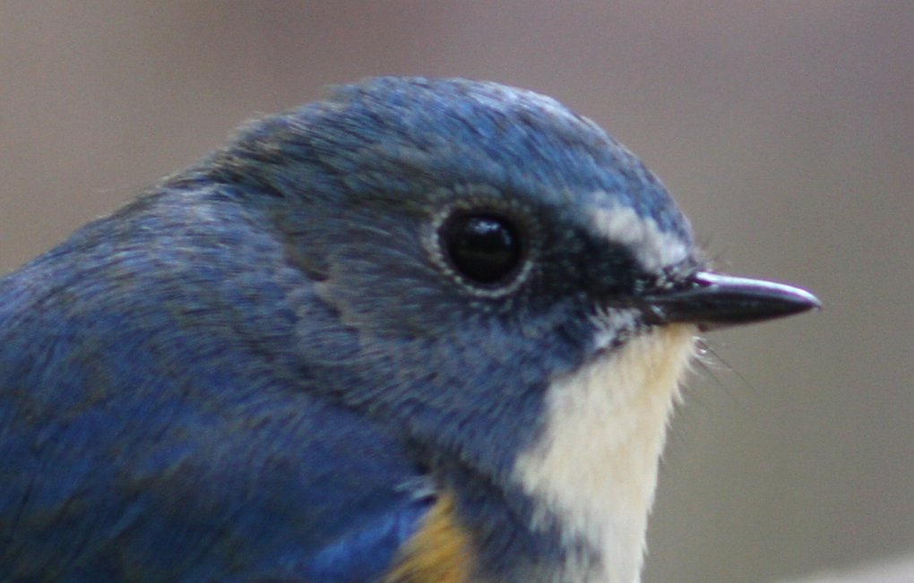c0172139_5341258.jpg