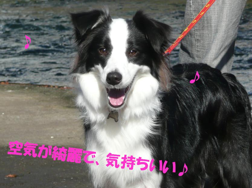 c0147241_20302119.jpg