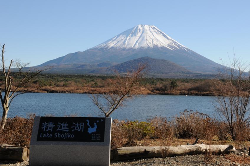 c0147241_2030288.jpg