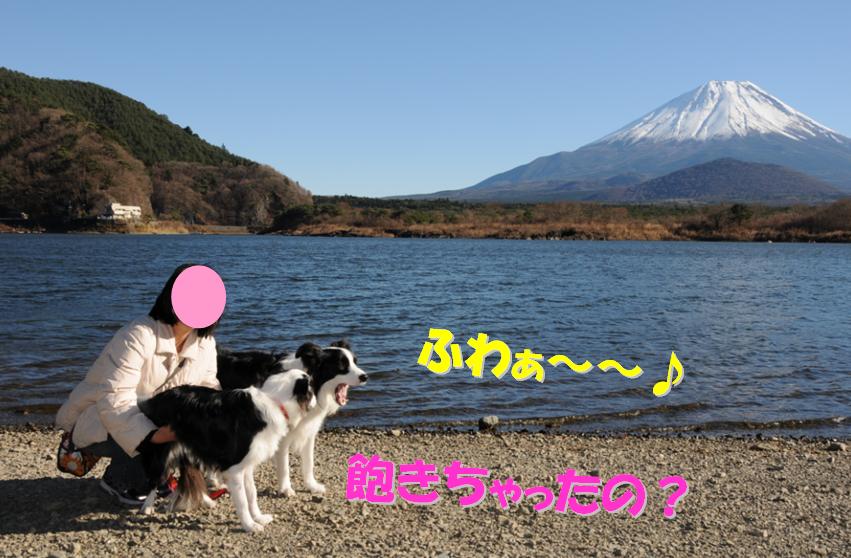c0147241_20303842.jpg