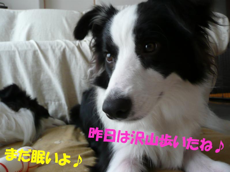 c0147241_20311890.jpg