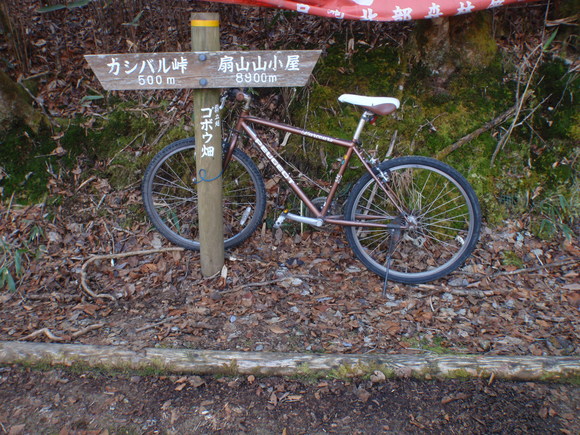 b0168843_17361645.jpg