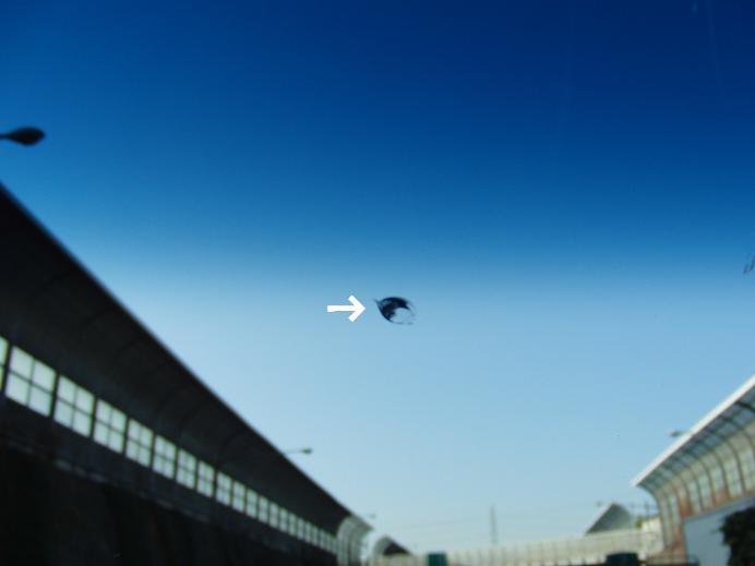 c0156345_2159237.jpg
