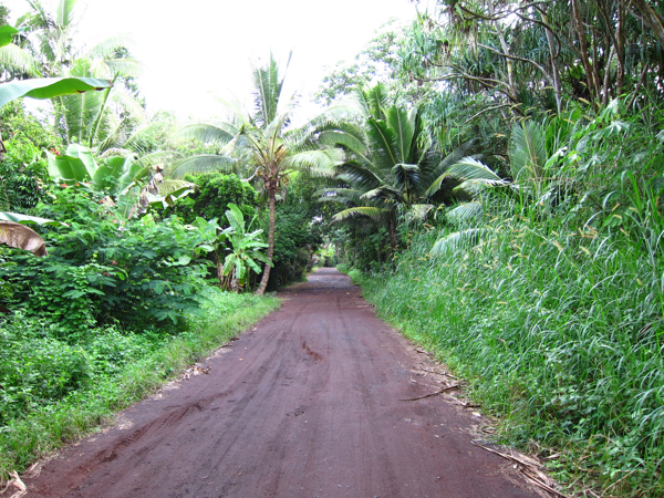 c0168945_18393316.jpg
