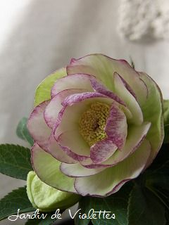 e0118257_15452276.jpg