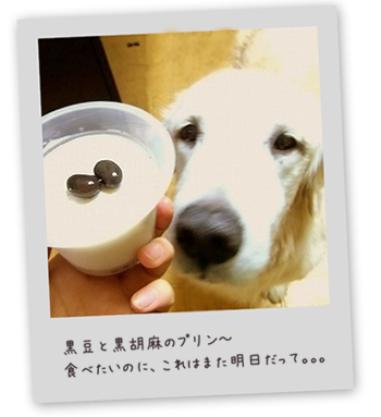 c0097558_09987.jpg