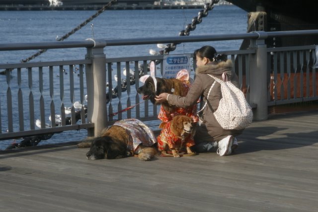 f0171559_2011432.jpg