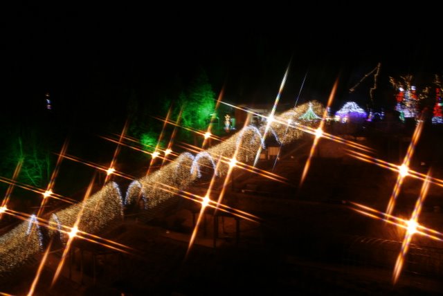 f0171559_2083626.jpg