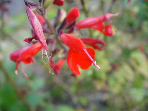 c0108460_13105513.jpg