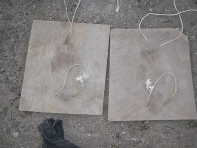 e0181260_204431100.jpg