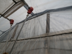 f0055264_1747478.jpg