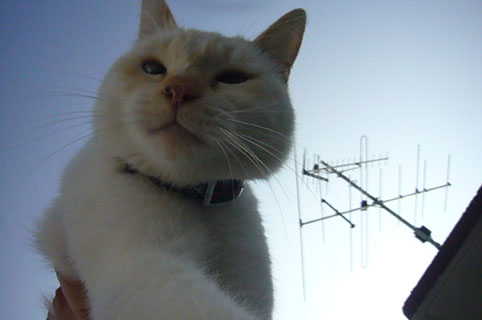 c0153966_2257685.jpg