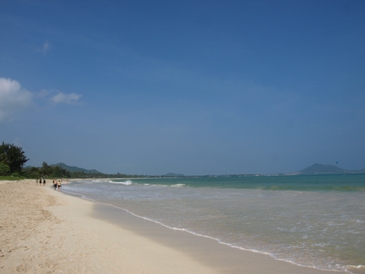 c0102268_17485993.jpg