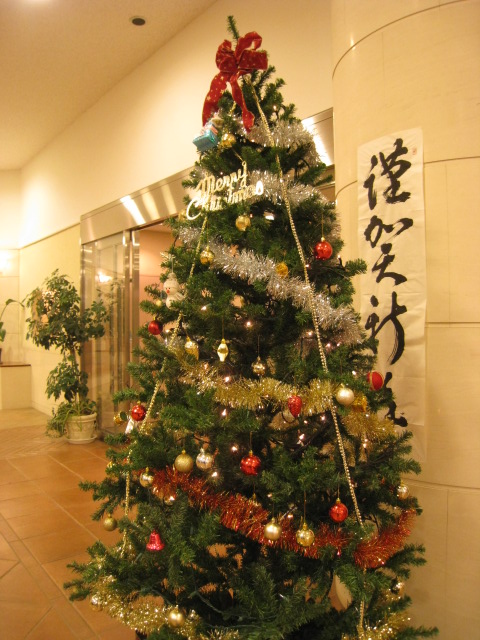 d0168669_0585491.jpg