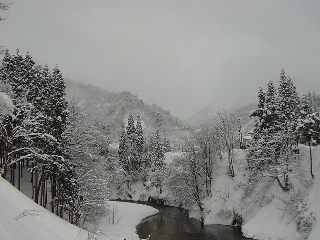 c0057781_20292621.jpg