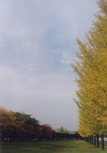 e0174382_164317.jpg