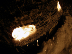 d0159789_10334999.jpg