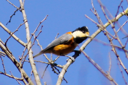 d0133693_0344029.jpg