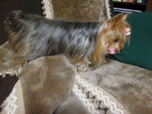 f0130894_2255130.jpg
