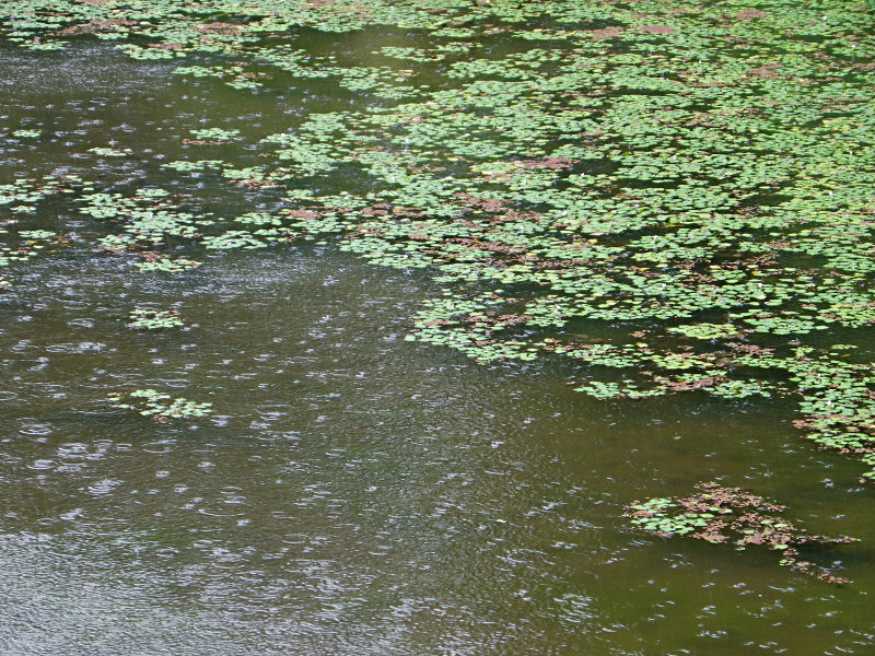 f0204094_14284042.jpg
