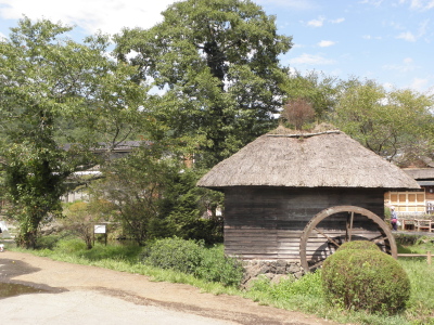 c0086895_20591034.jpg