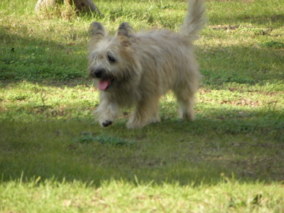 c0086895_2110214.jpg