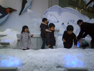 f0138995_2345337.jpg