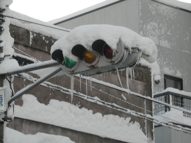 f0034996_843696.jpg