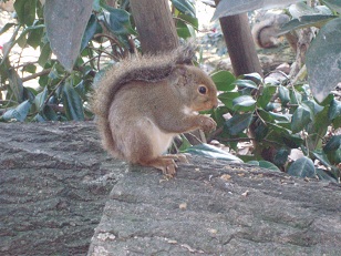 e0106098_21113256.jpg