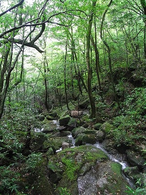 f0187402_20353069.jpg