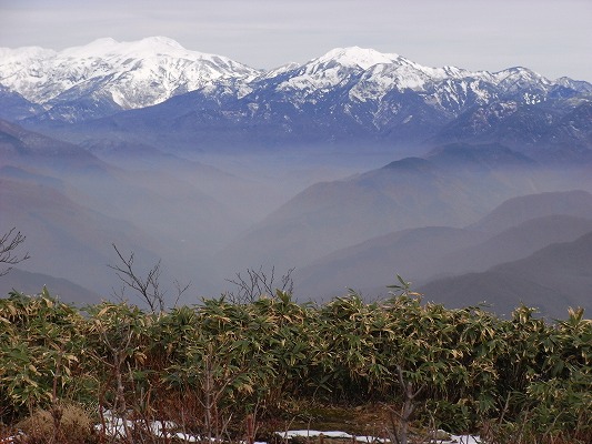 f0187402_2035447.jpg