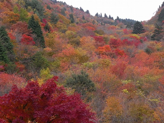 f0187402_2036829.jpg
