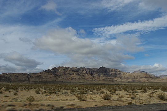 f0038904_17169.jpg