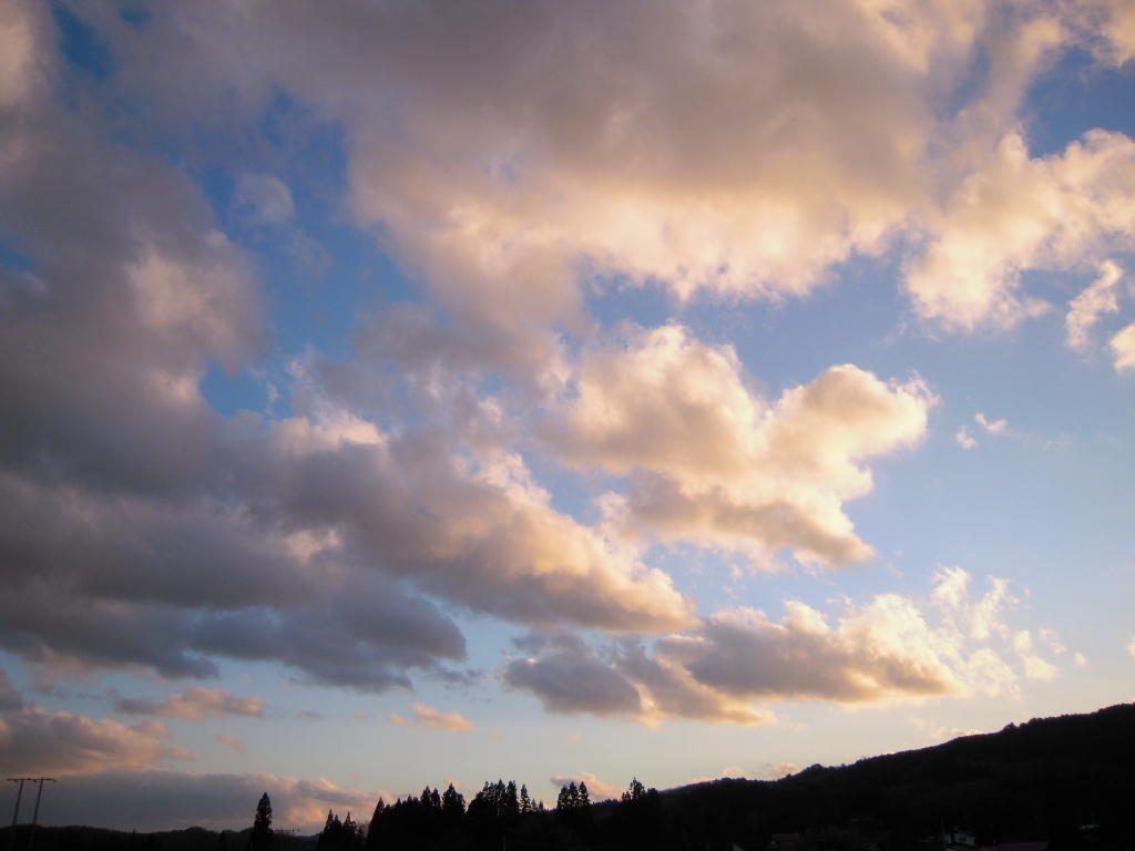 c0132608_18163050.jpg