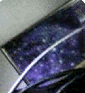 e0103408_1055087.gif