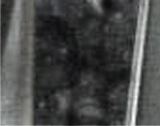e0103408_1154594.gif