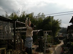 c0190010_2019133.jpg