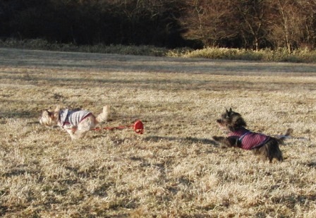 e0078510_22312821.jpg