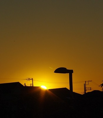 d0147812_97252.jpg