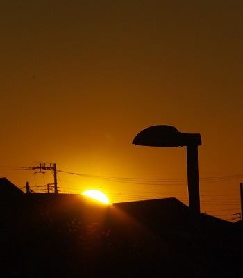 d0147812_973463.jpg